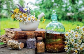 Tag der Naturheilkunde 2026